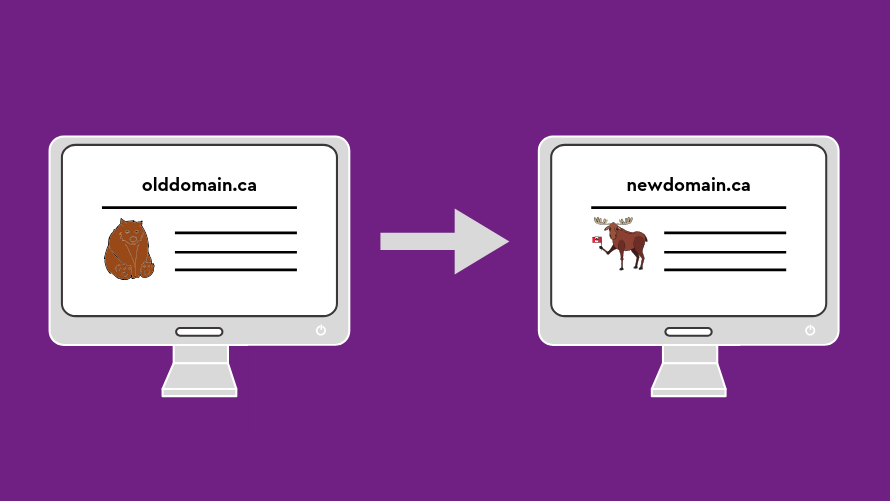 How to Change Your Domain Name? Beginner's Guide